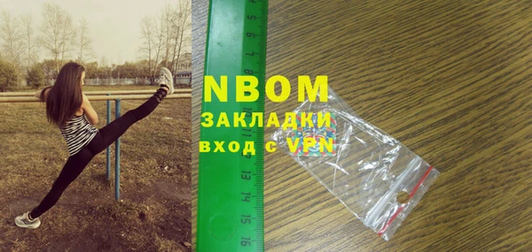 индика Алексин