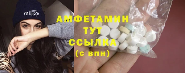 сатива Гусь-Хрустальный